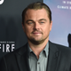 Illustration for article titled Poor Leonardo DiCaprio, Felled by a Volleyball